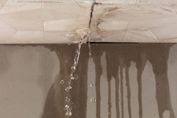 Professional Burst Pipe Cleanup technician working in Roxana, IL